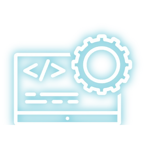IT System Development